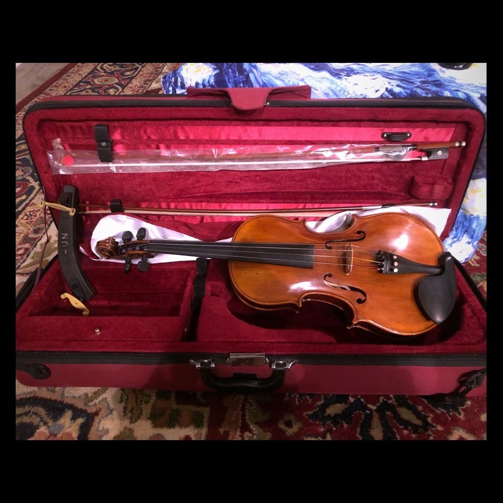 16 in Viola